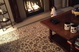 gas fire with a dog sitting in front of it.