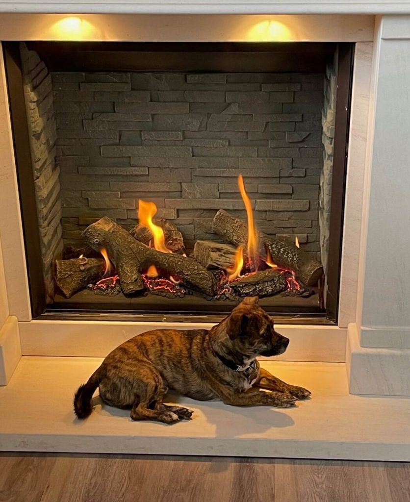 Warm & Cosy Fires showroom